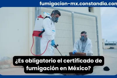Técnicos realizando fumigación profesional con equipo de seguridad en instalación industrial, obligatorio el certificado de fumigación en México