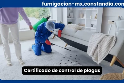 Certificado de control de plagas tras servicio profesional en vivienda residencial