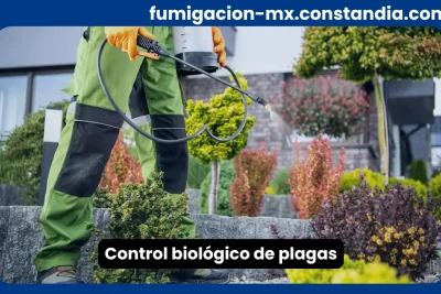 Control biológico de plagas aplicado en jardín residencial con tratamiento ecológico
