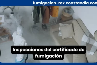 Inspecciones del certificado de fumigación realizadas en un inmueble para verificar cumplimiento sanitario