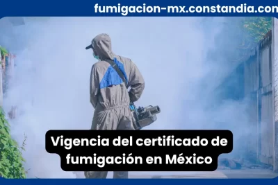 Técnico fumigador aplicando tratamiento durante la vigencia del certificado de fumigación en México